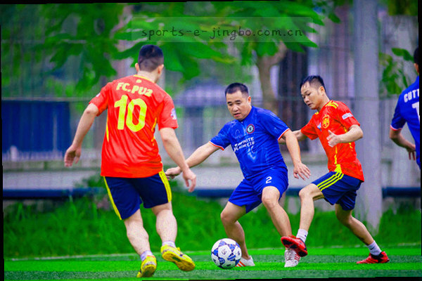 盾牌形状的安全认证抽象图标，带有绿色光泽